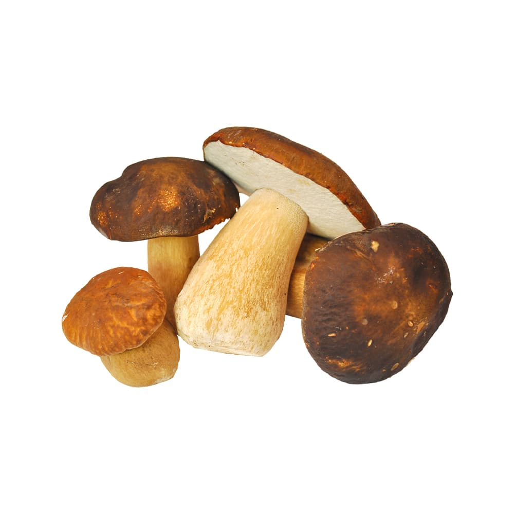 Funghi Porcini Interi